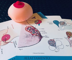 Consulenza per l'allattamento